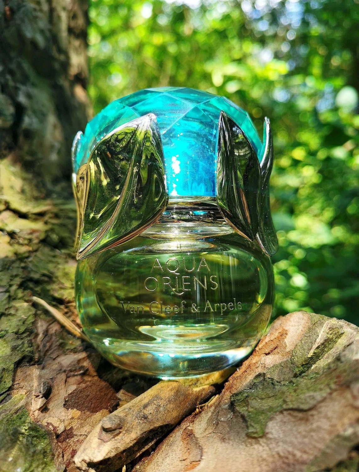 Van Cleef & Arpels Aqua Oriens