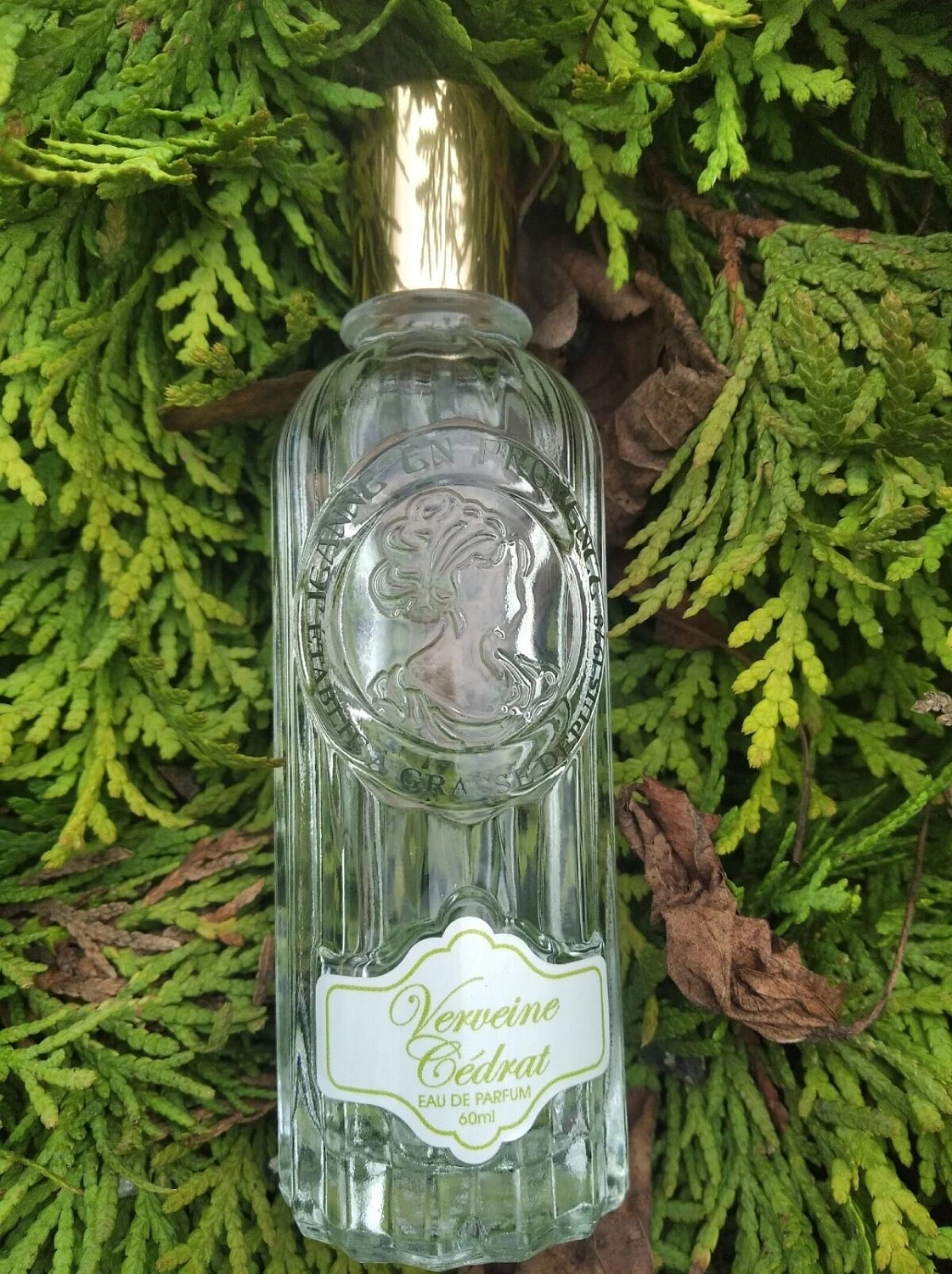 Jeanne en Provence Verveine Cedrat
