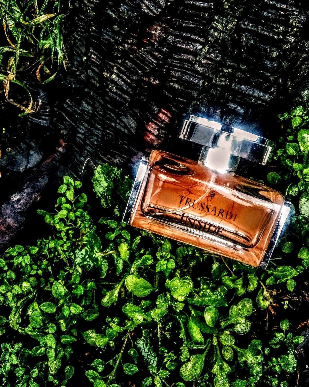Trussardi Inside for woman