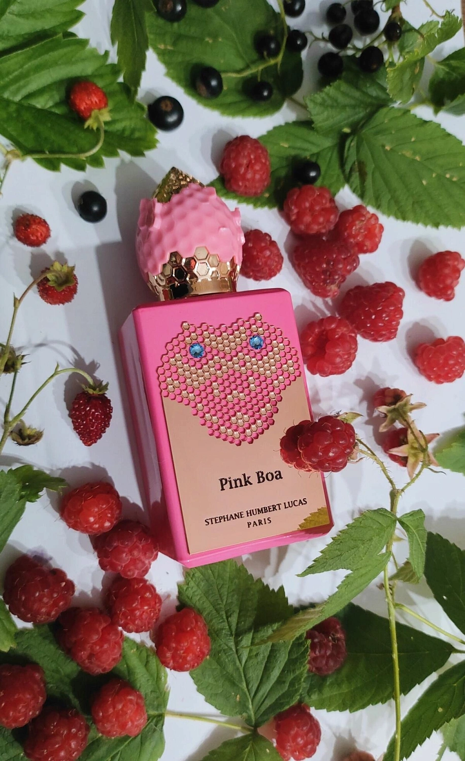 Stéphane Humbert Lucas 777 Pink Boa