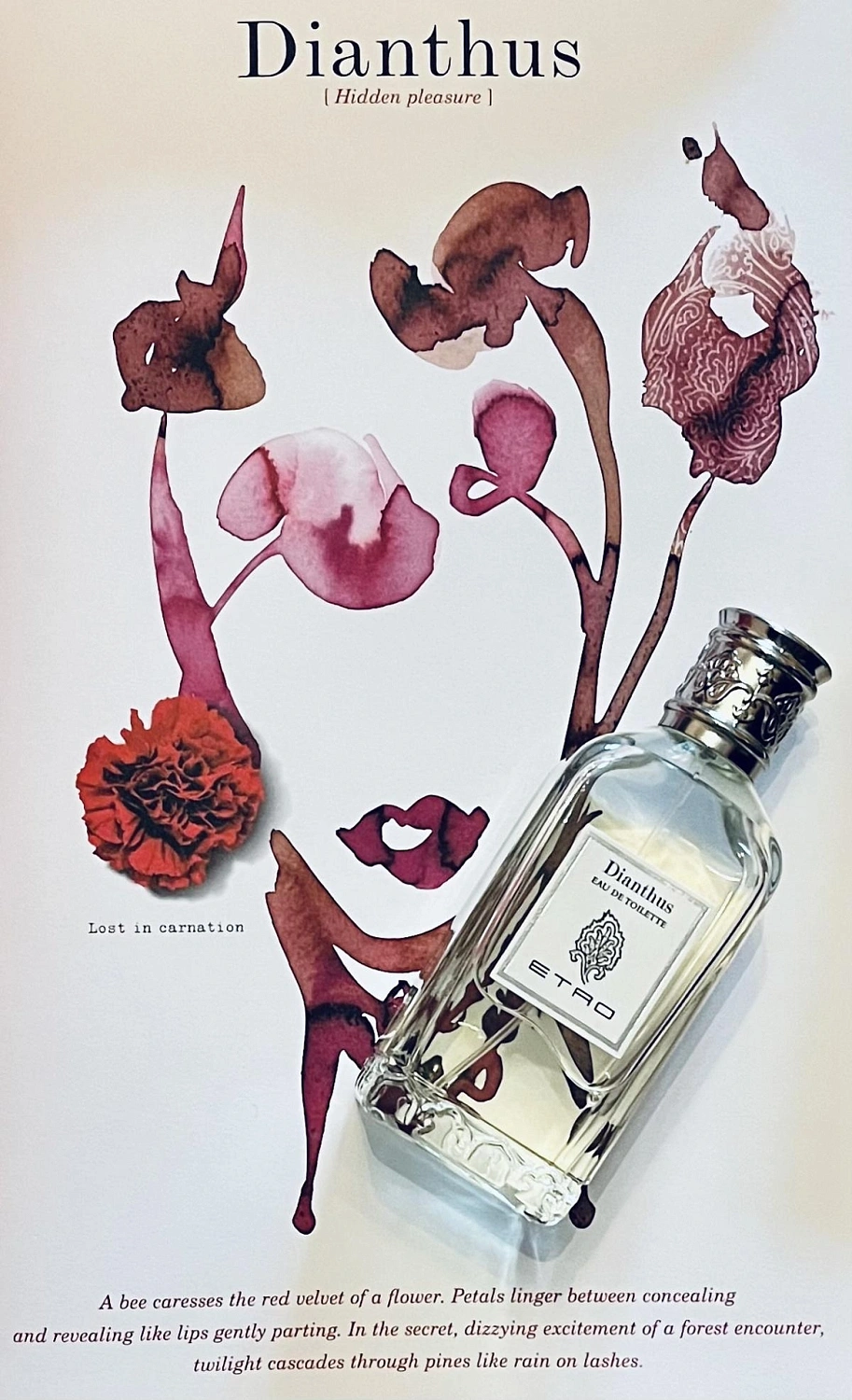 Etro Dianthus