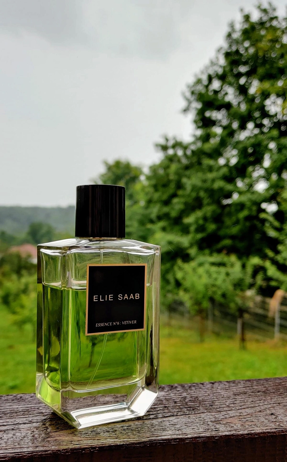 Elie Saab Essence No. 6 Vetiver