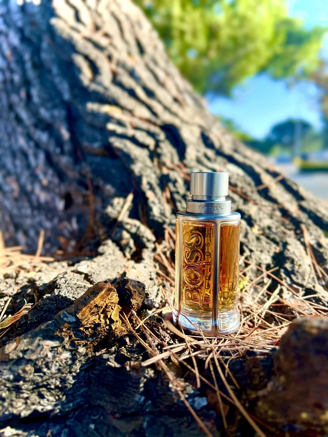Hugo Boss The Scent