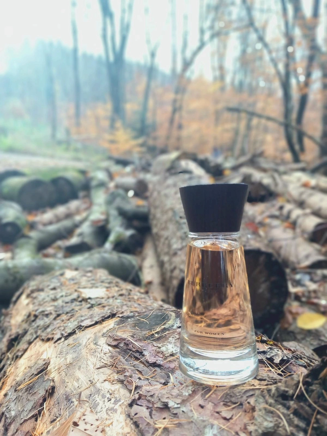 Burberry Touch for Women