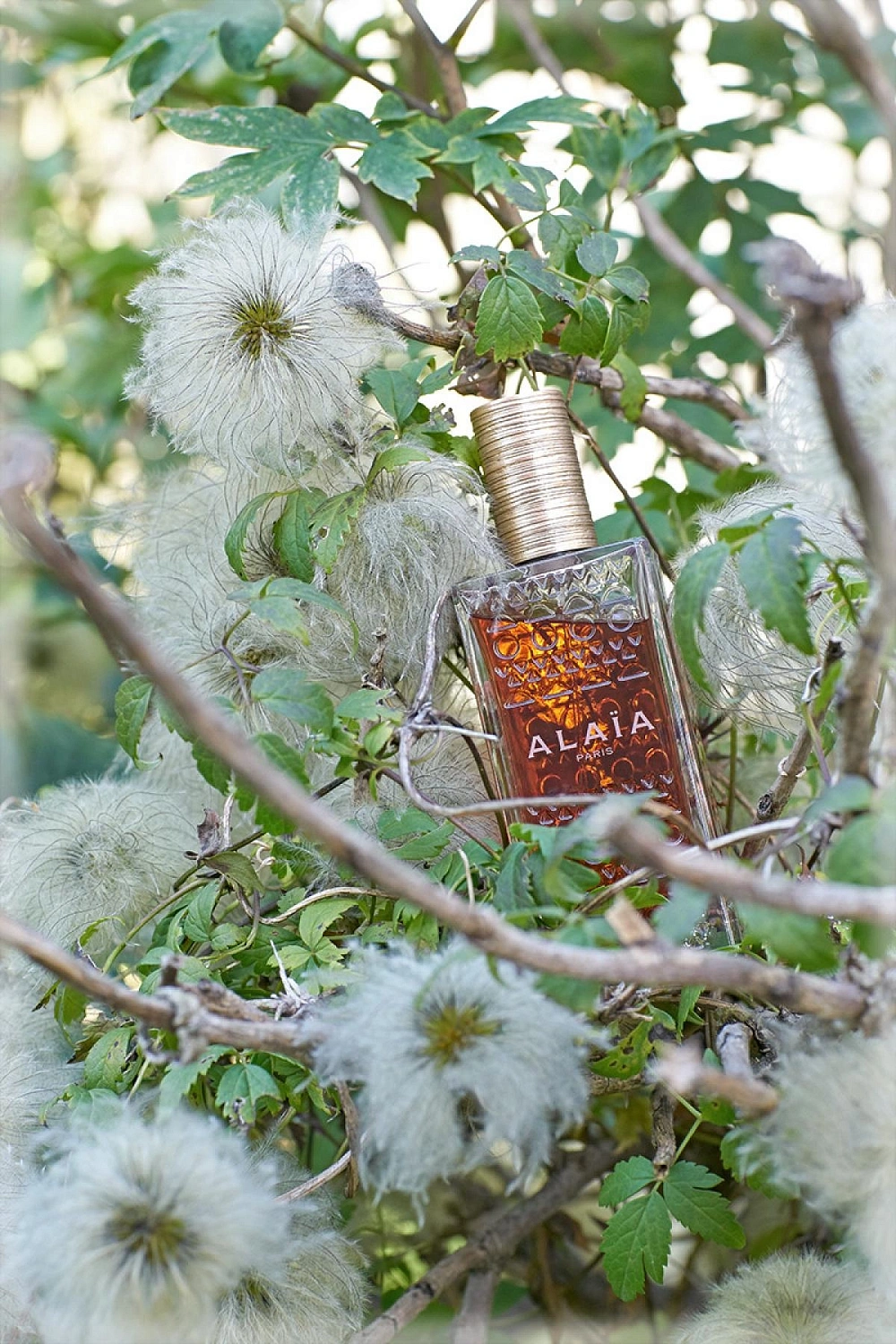 Alaïa Eau de Parfum Blanche
