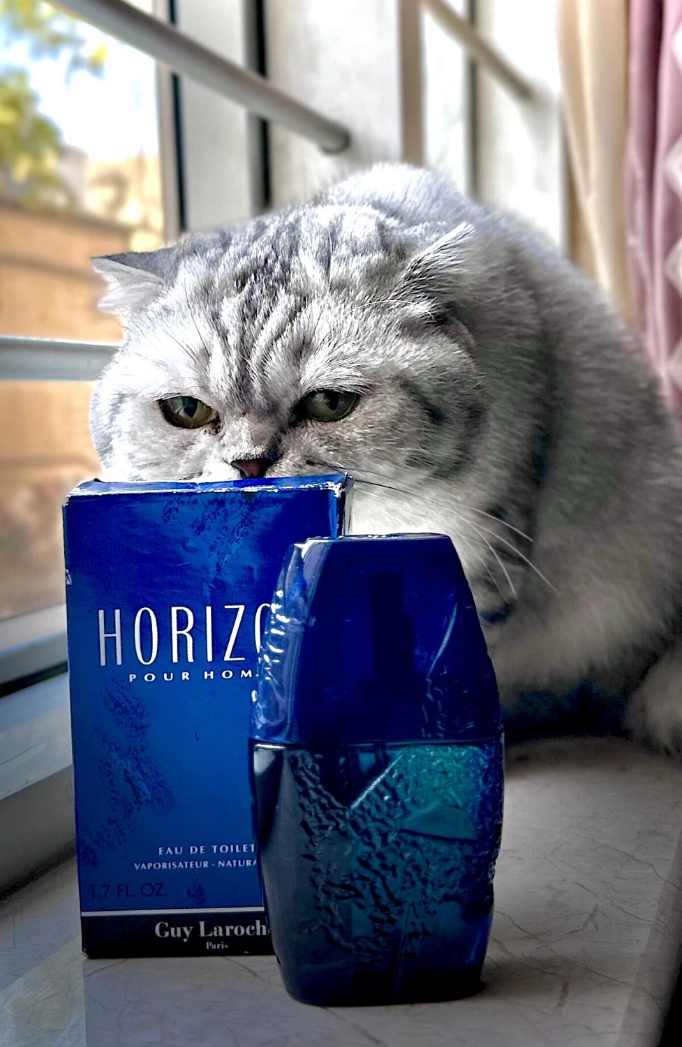 Guy Laroche Horizon