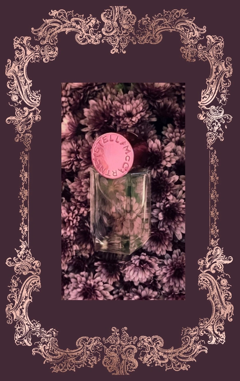 Stella McCartney Pop