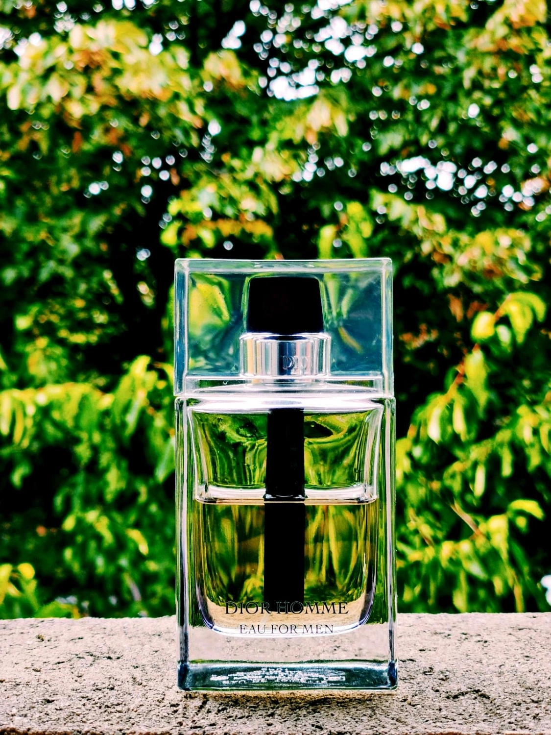 Christian Dior Homme Eau for Men
