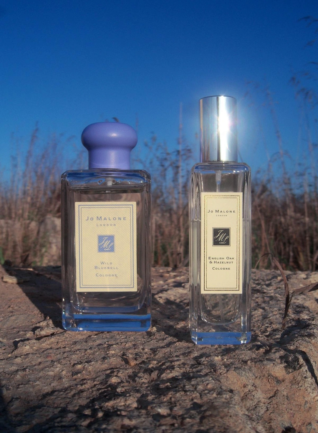 Jo Malone English Oak & Hazelnut