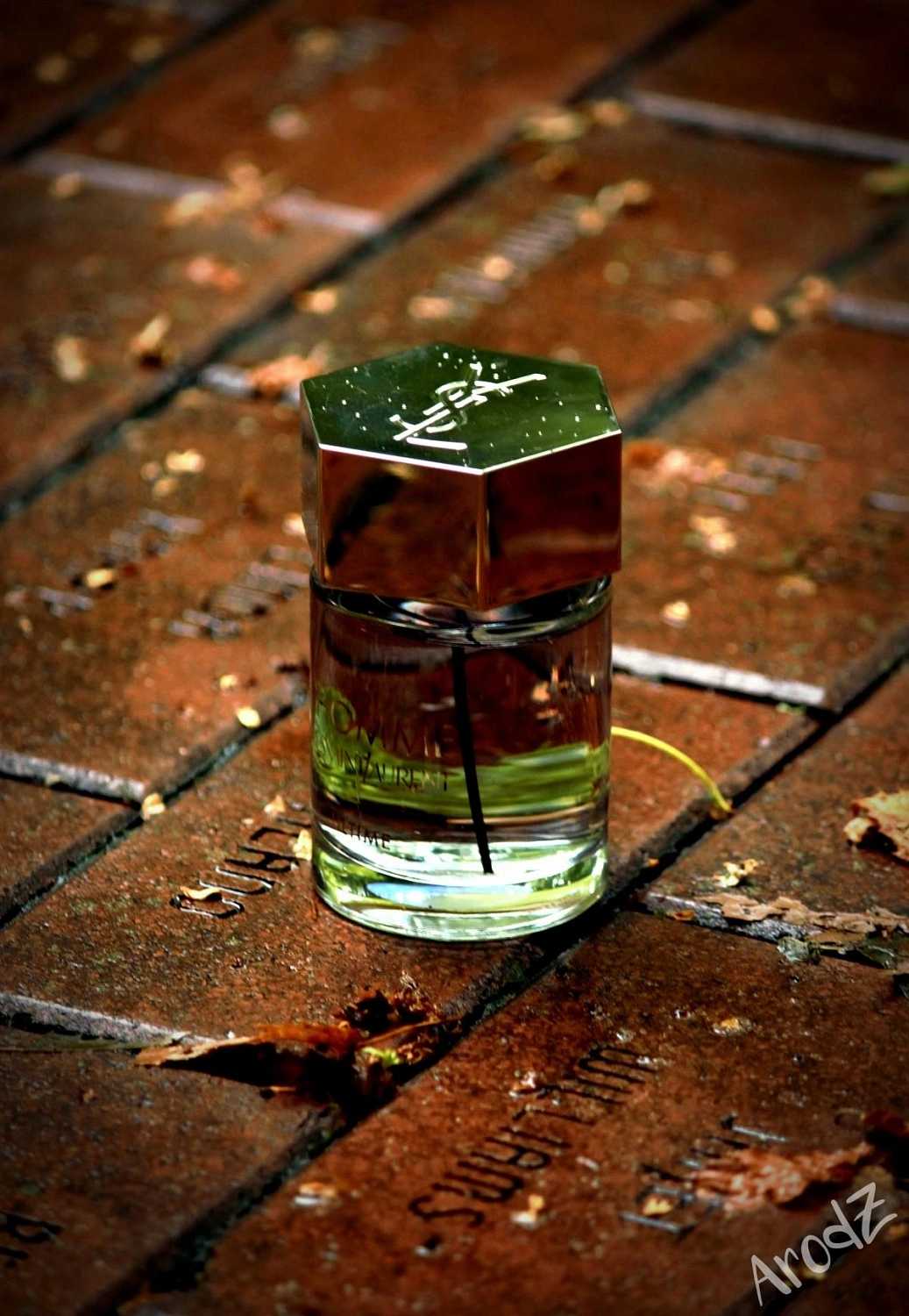 Yves Saint Laurent L'Homme Ultime