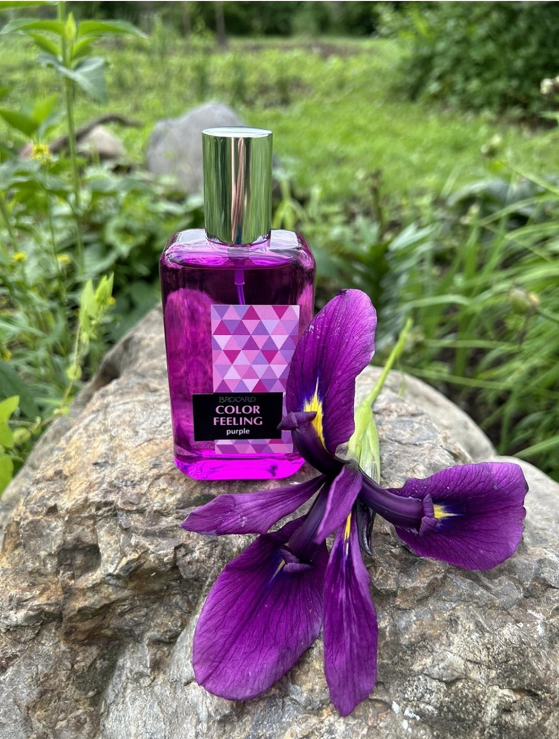 Brocard Color Feeling Purple