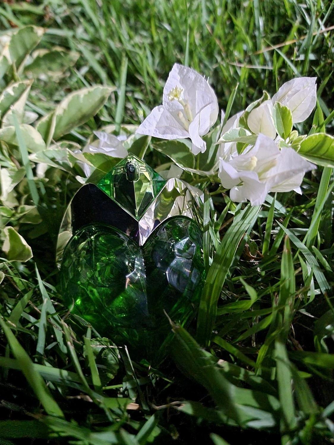 Aura Mugler Eau de Toilette