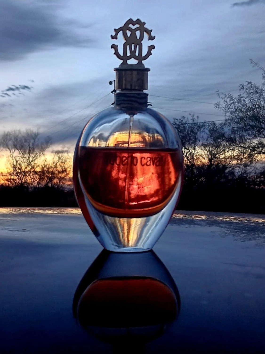 Roberto Cavalli Eau de Parfum 2012 (Signature)