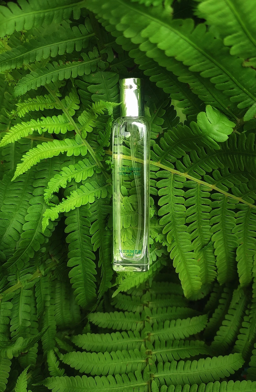 Hermès Un Jardin sur le Nil