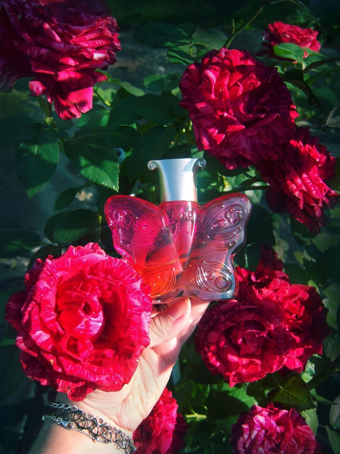 Anna Sui Love
