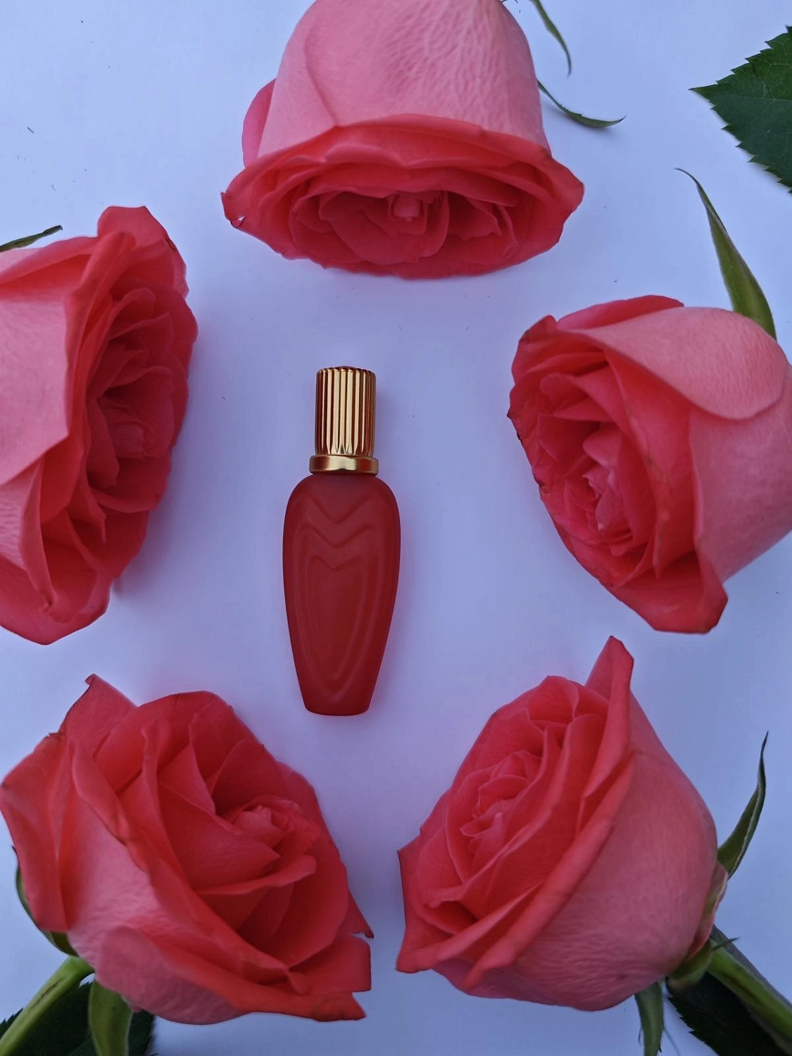 Escada Margaretha Ley Summer In Provence