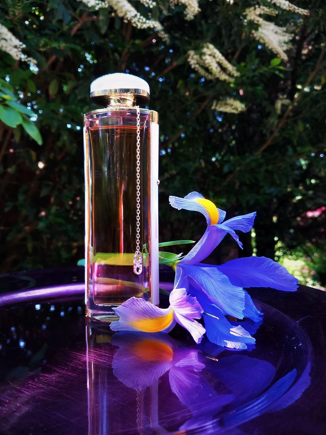 Salvatore Ferragamo Emozione Florale