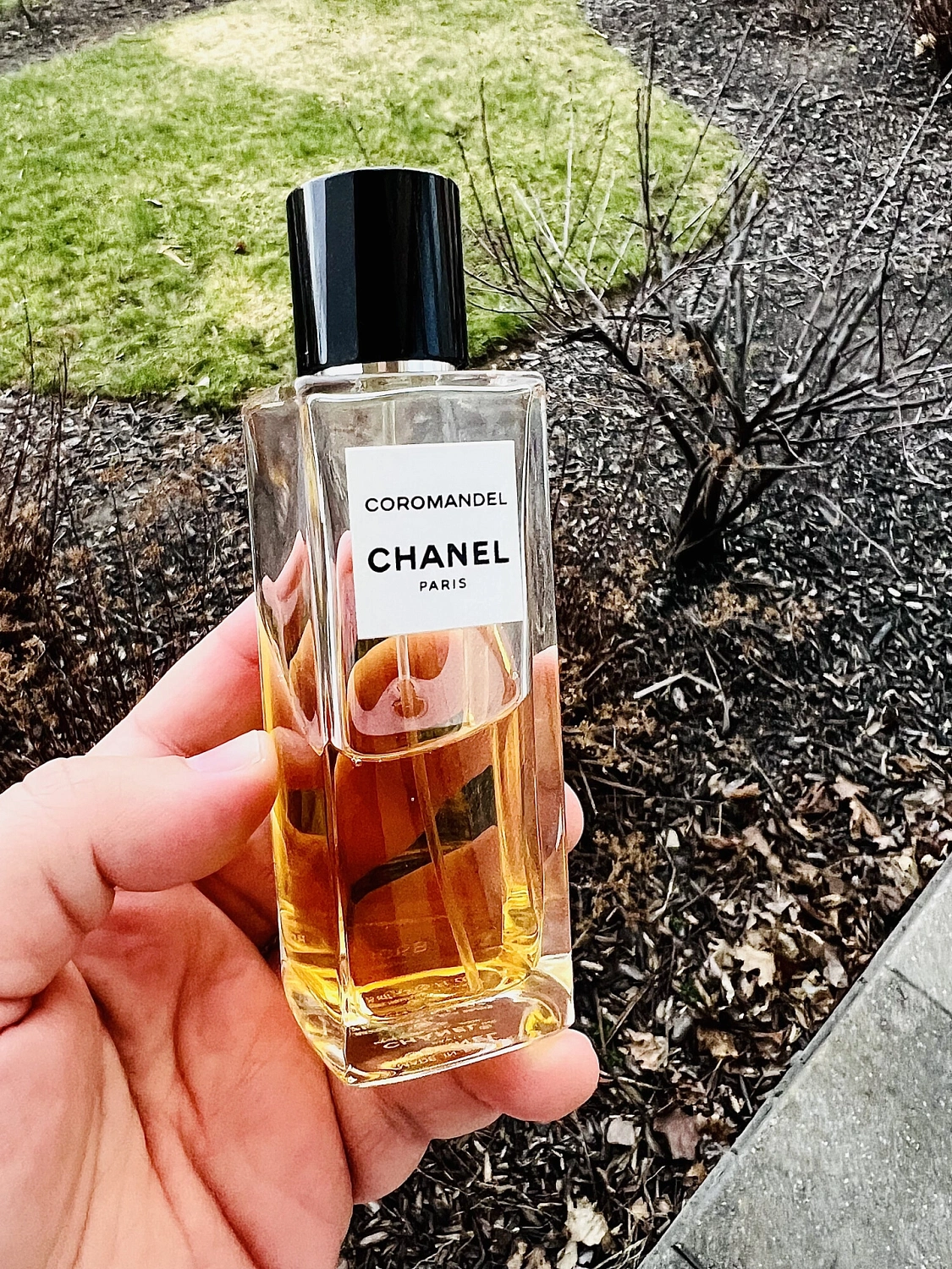 Chanel Coromandel