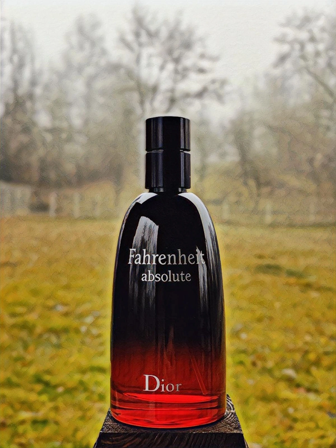 Christian Dior Fahrenheit Absolute