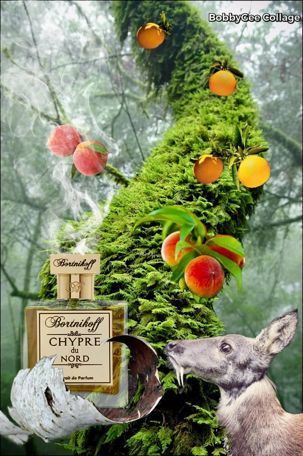 Bortnikoff Chypre du Nord