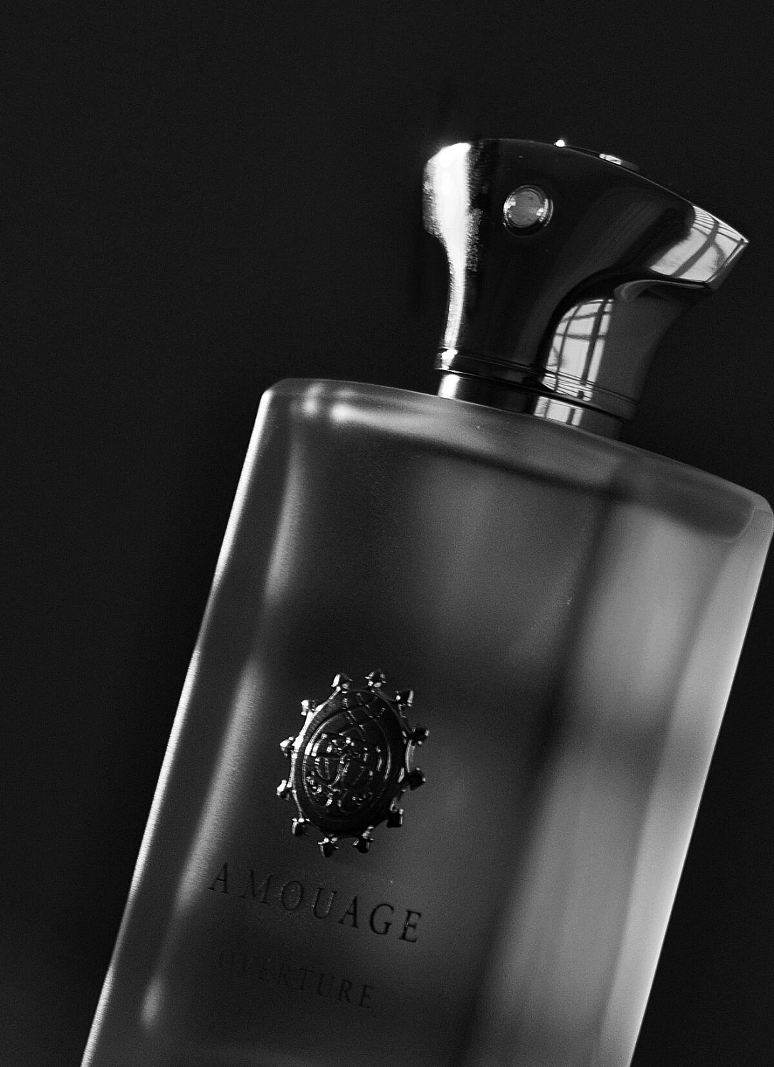 Amouage Overture Man