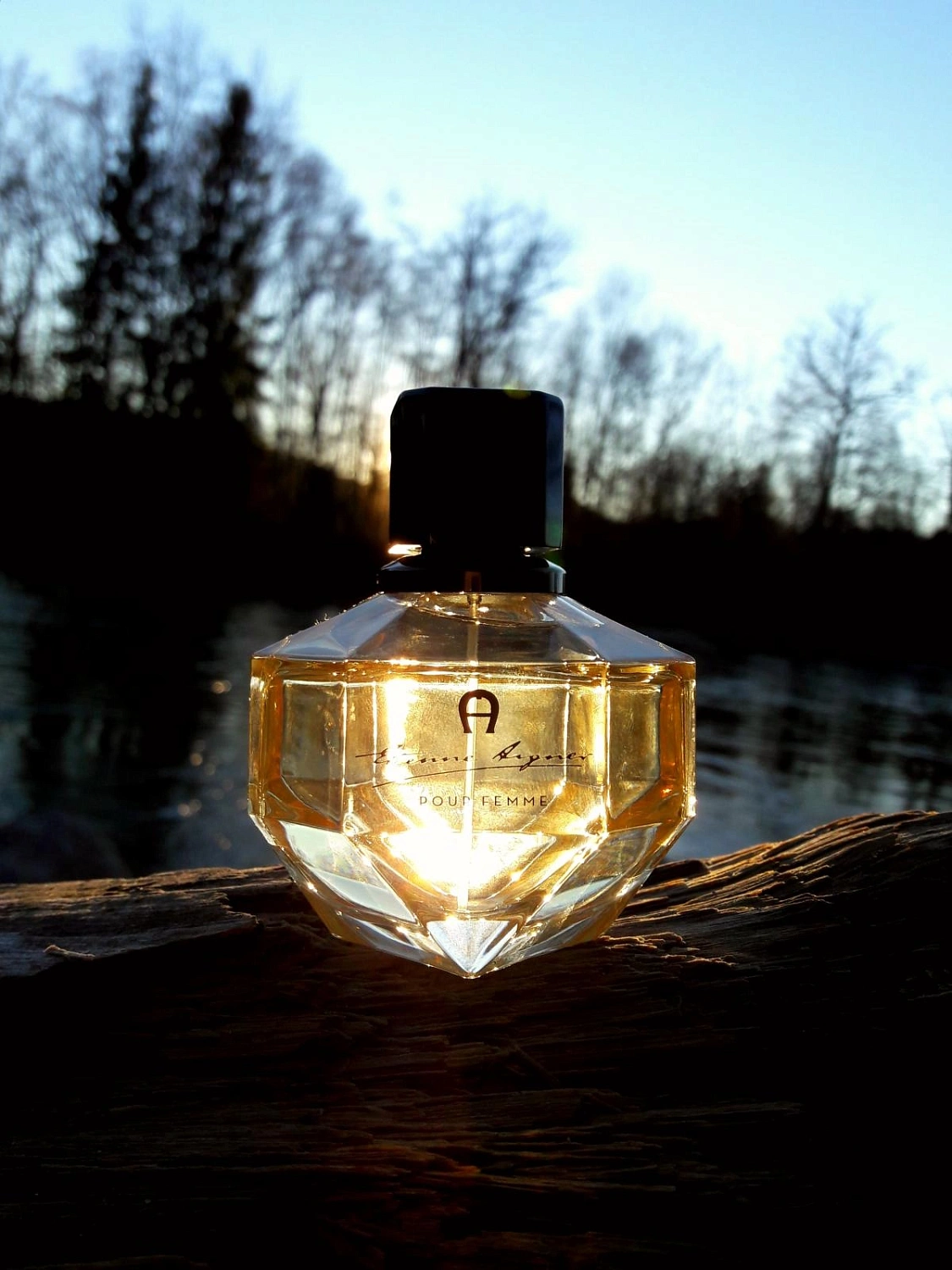 Etienne Aigner Pour Femme