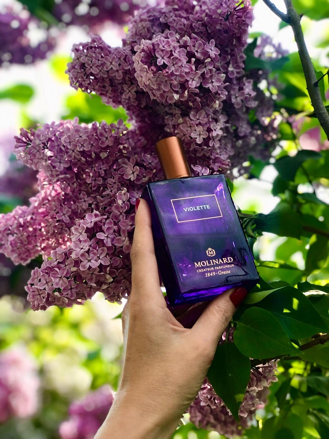 Molinard Violette Eau de Parfum