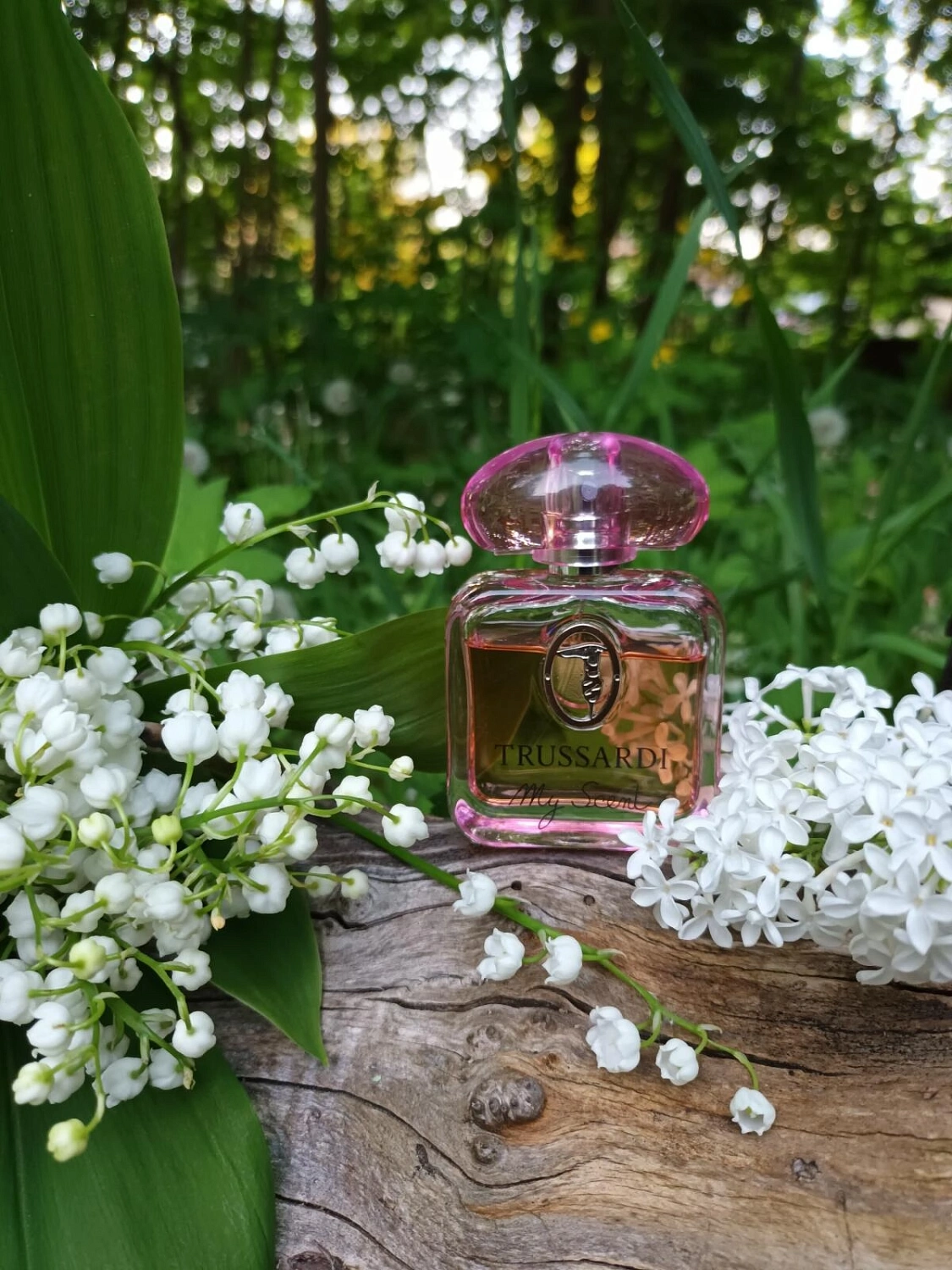 Trussardi My Scent