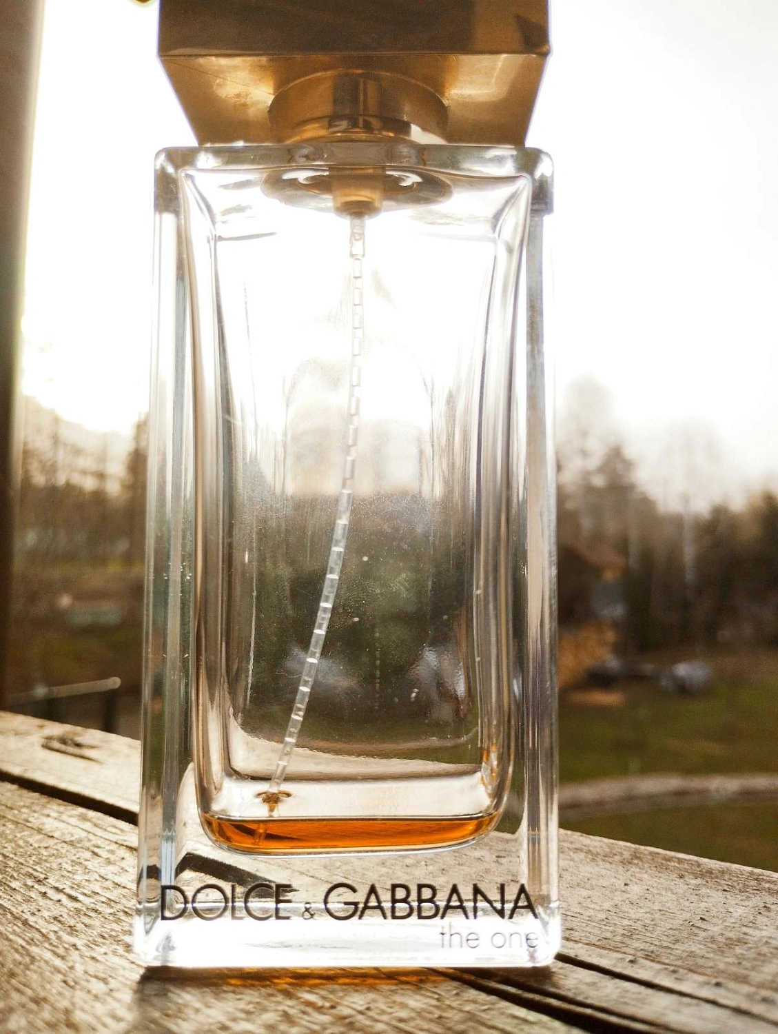 Dolce & Gabbana The One for Men