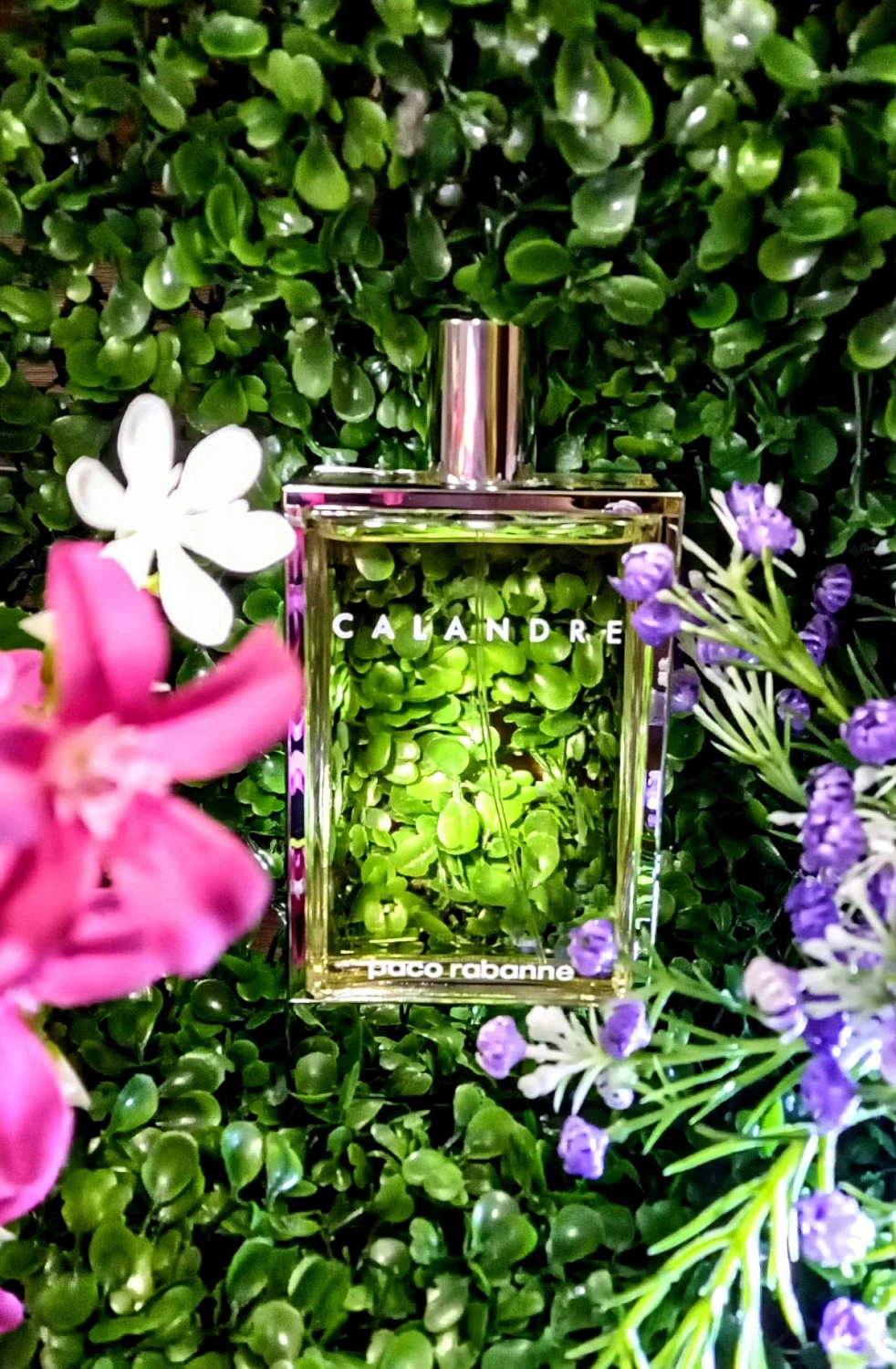 Paco Rabanne Calandre
