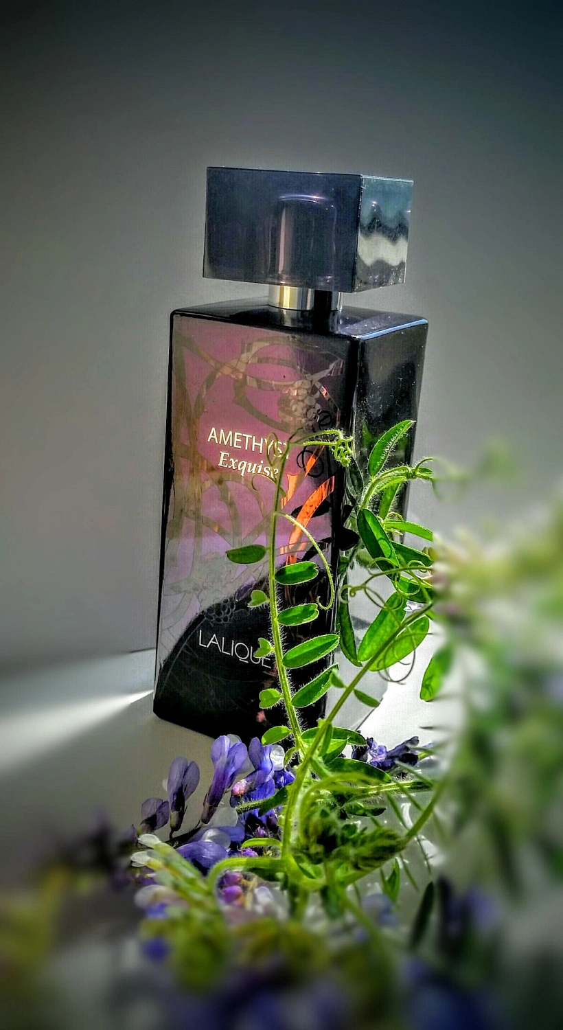 Lalique Amethyst Exquise