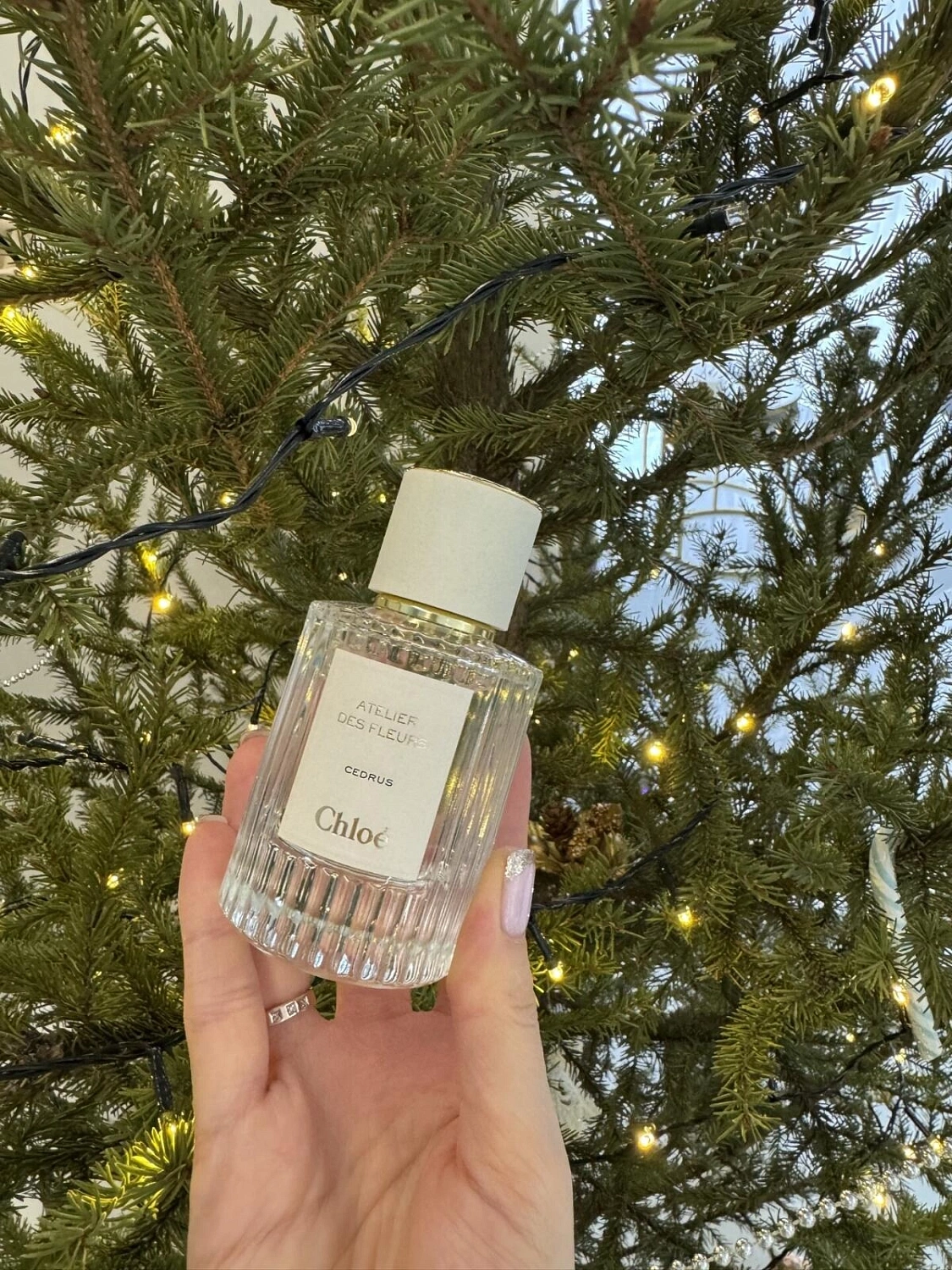 Chloé Atelier Des Fleurs Cedrus