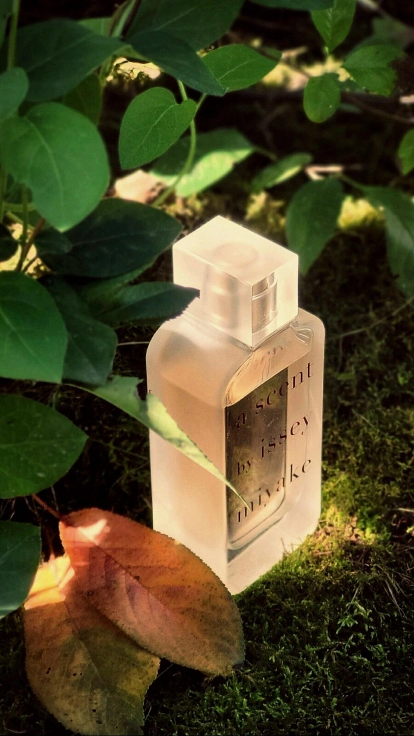 Issey Miyake A Scent Eau de Parfum Florale