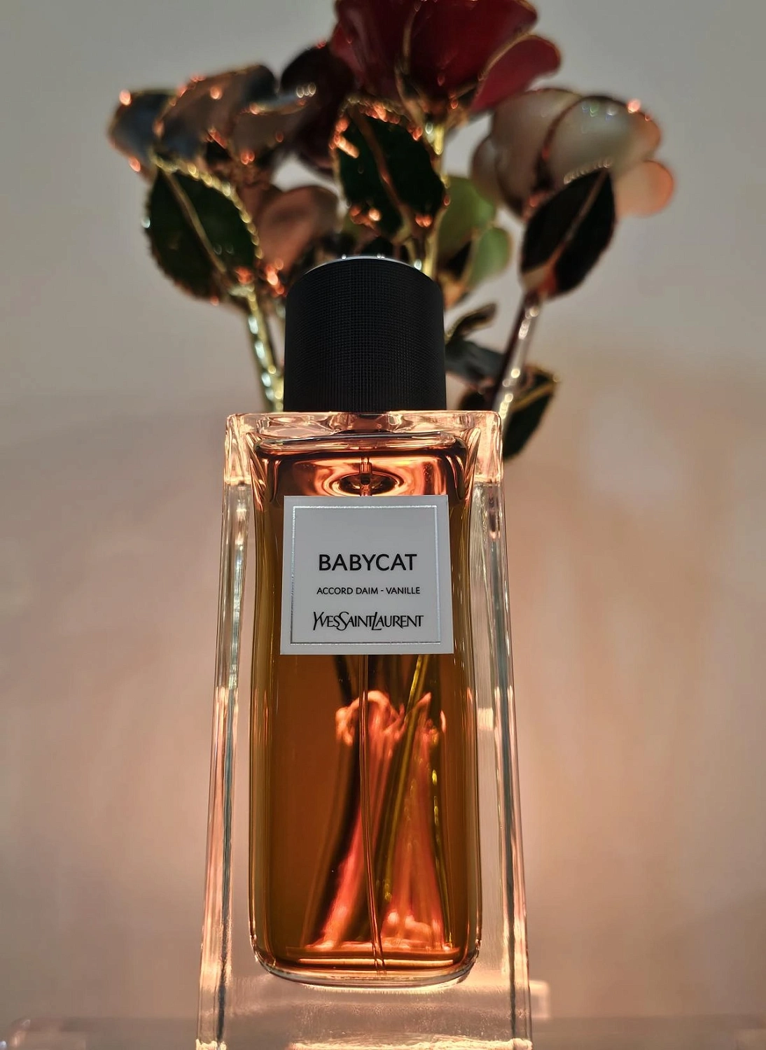 Yves Saint Laurent Babycat