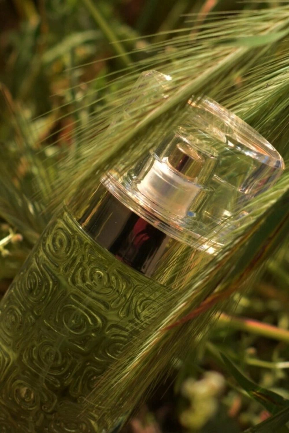 O de Lancôme
