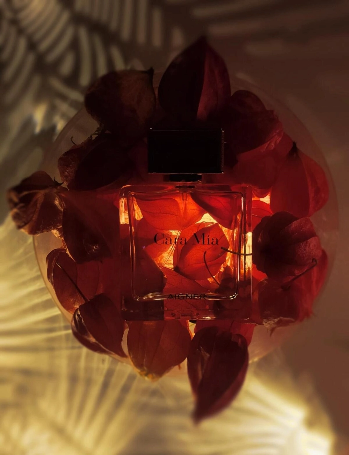 Aigner Cara Mia