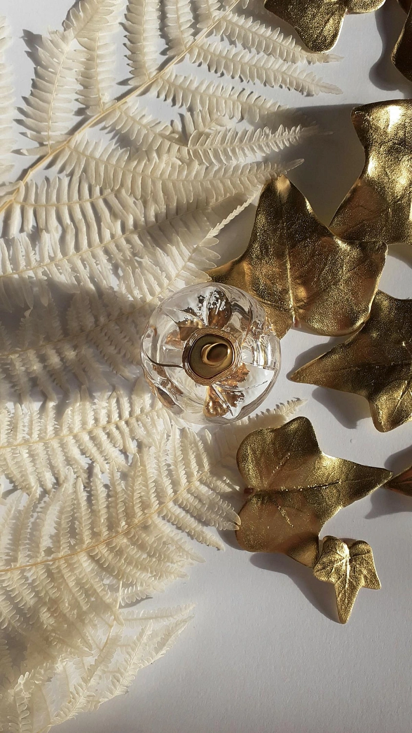 Lolita Lempicka L'Eau Jolie