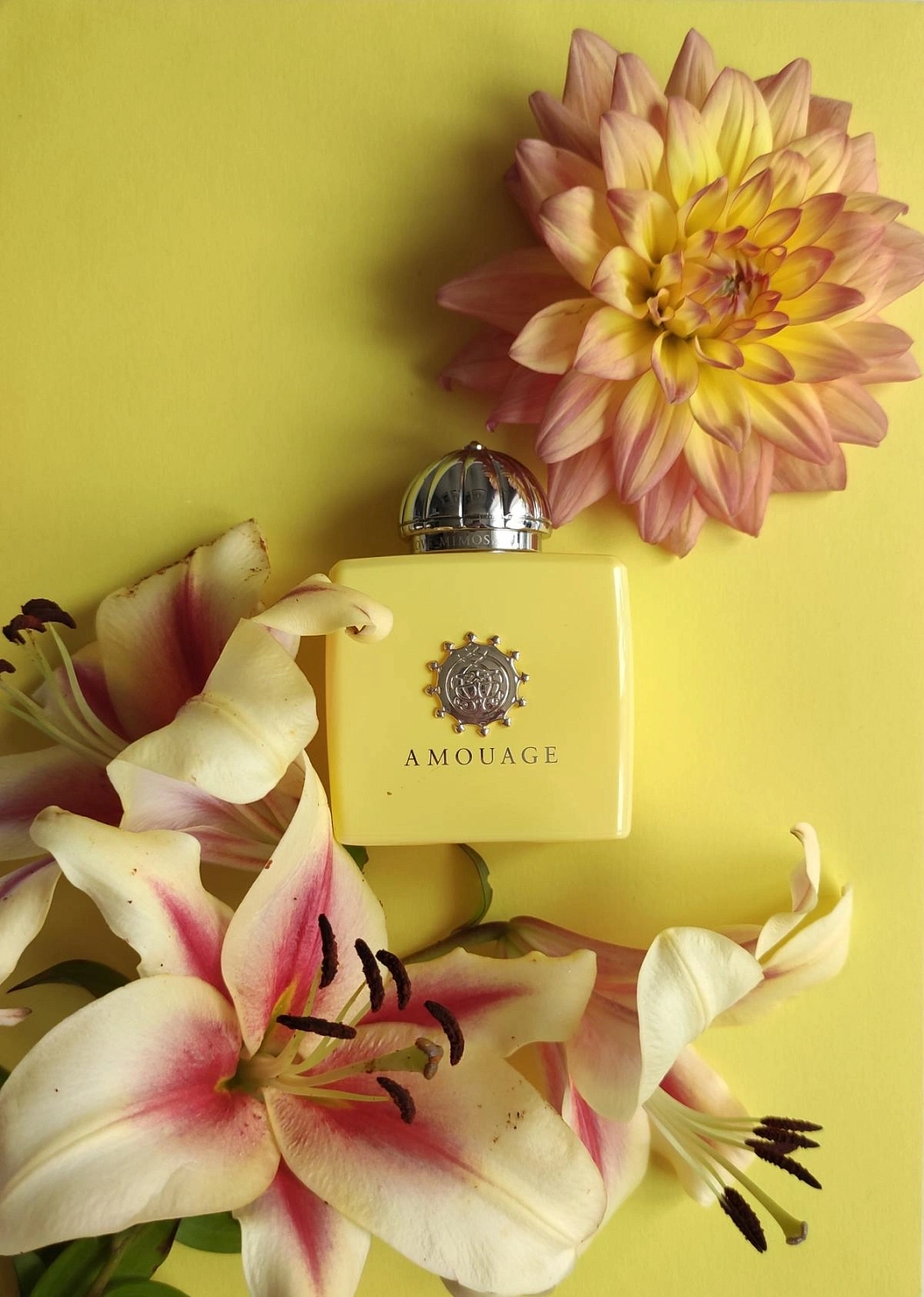 Amouage Love Mimosa