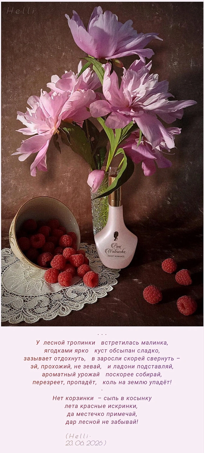 Pani Walewska Sweet Romance