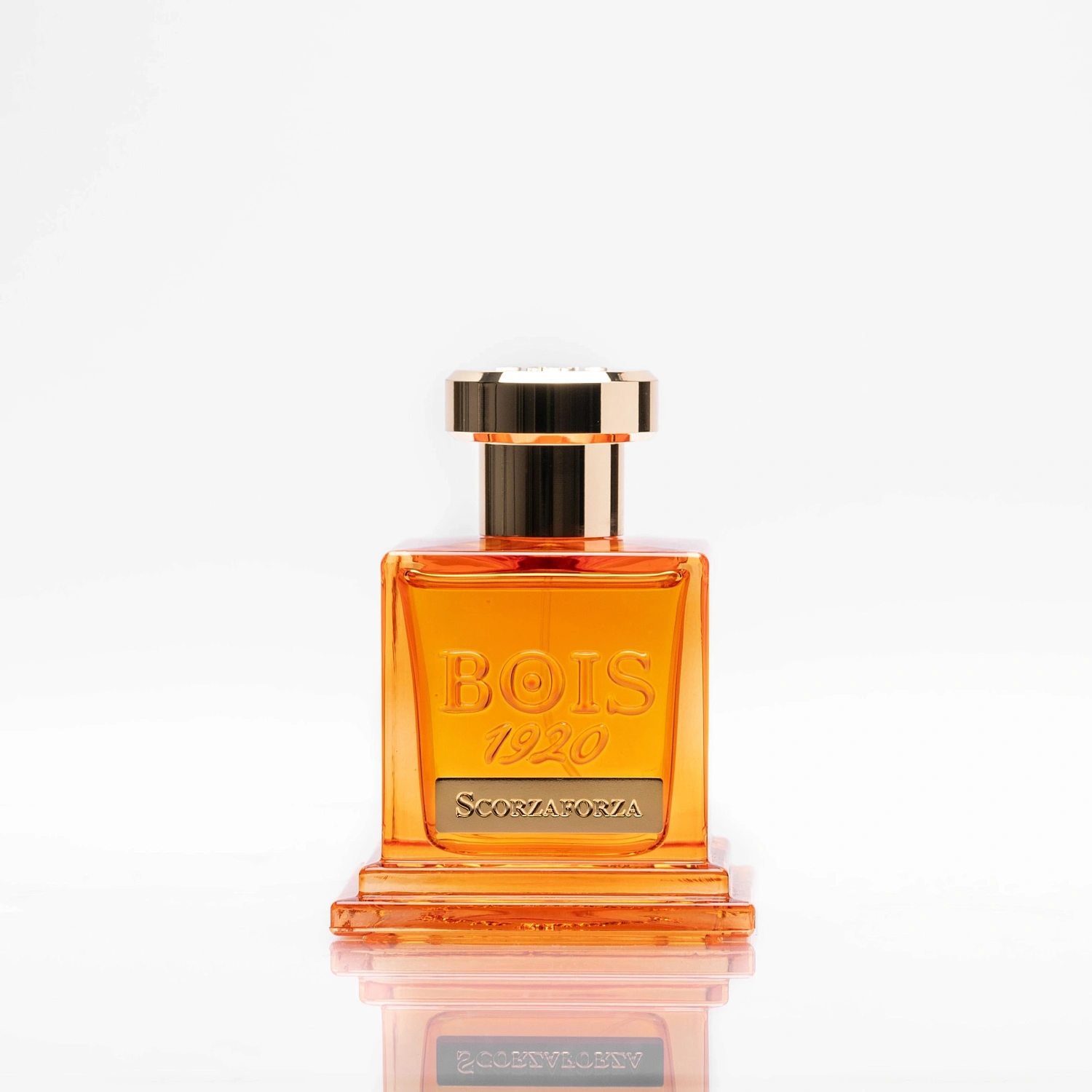 Bois 1920 Scorzaforza
