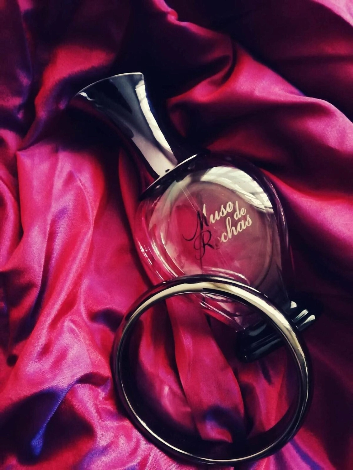 Muse de Rochas