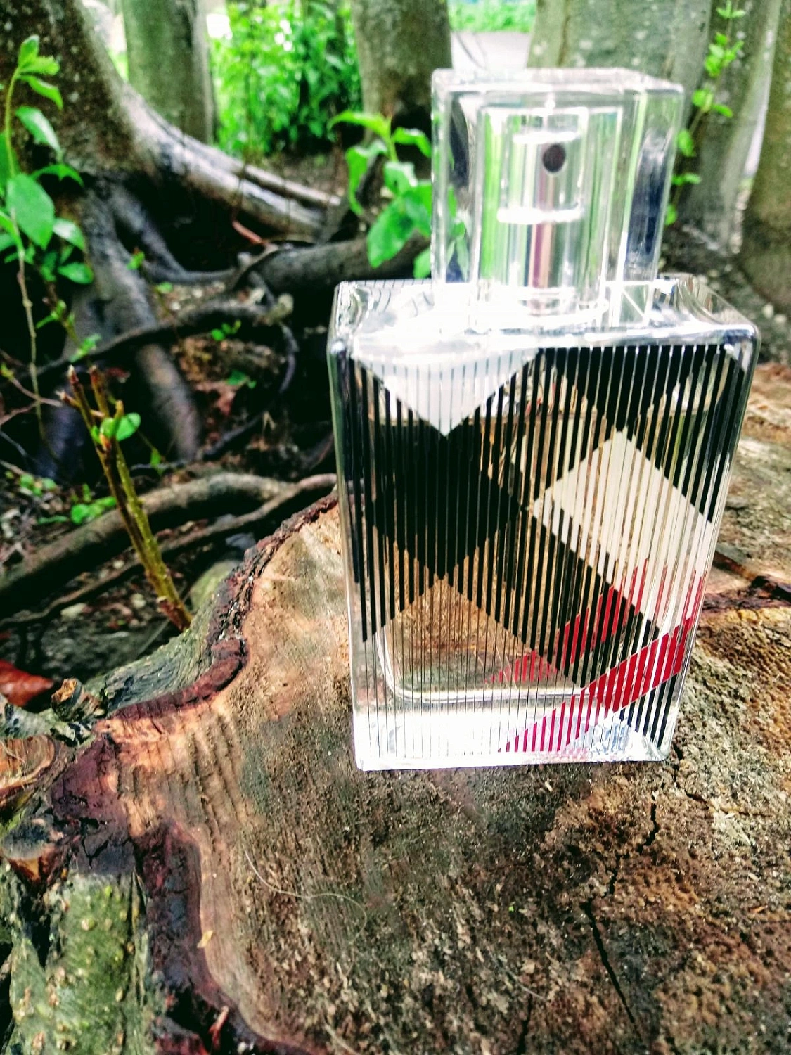 Burberry Brit