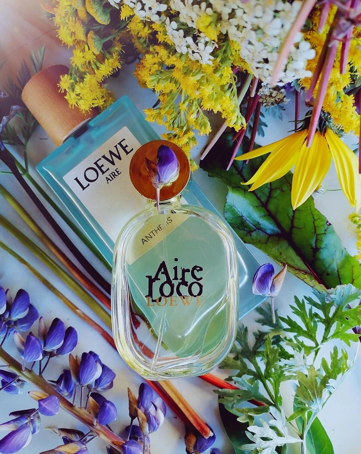 Loewe Aire Loco