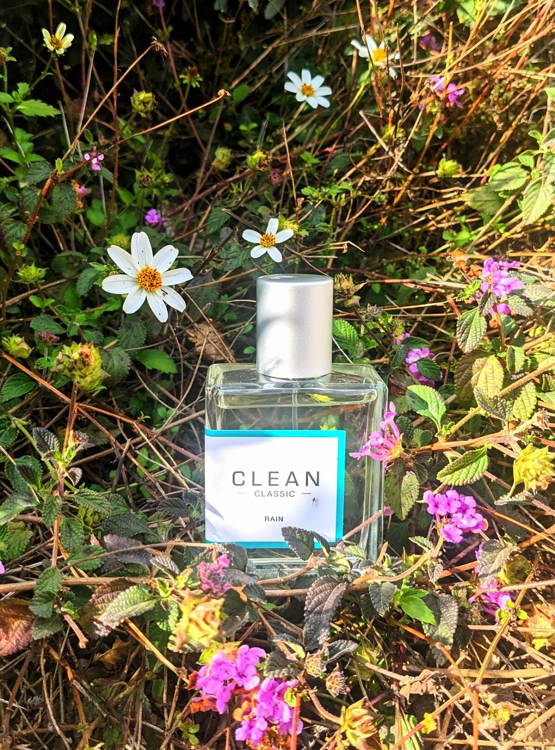 Clean Classic Rain