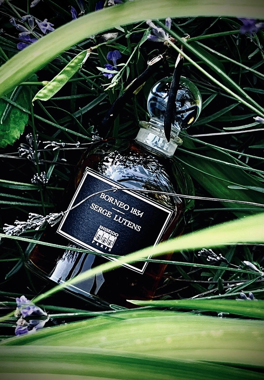Serge Lutens Borneo 1834