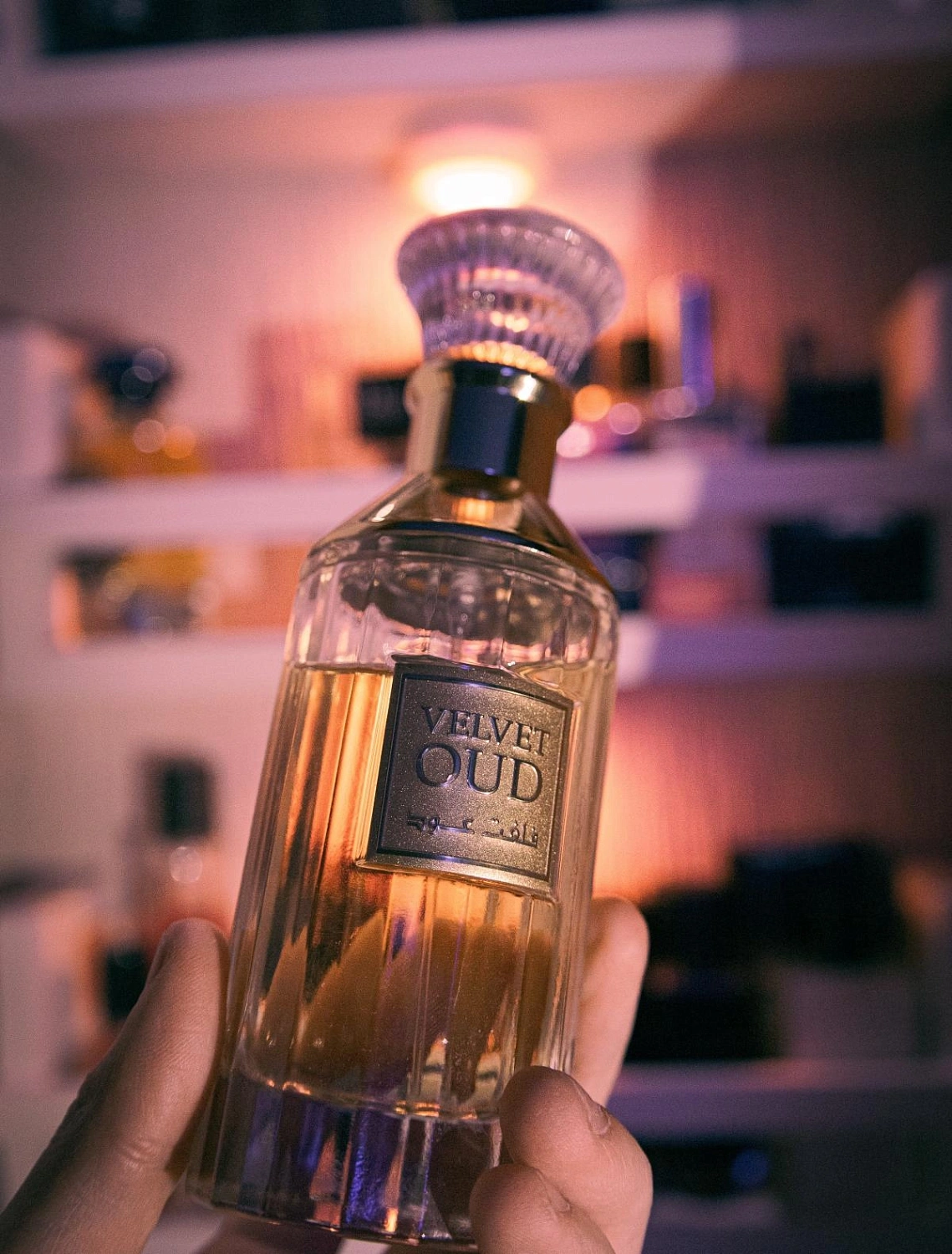 Lattafa Velvet Oud
