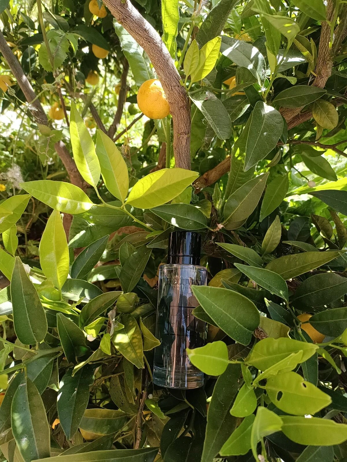 Le Couvent Maison de Parfum Aqua Imperi