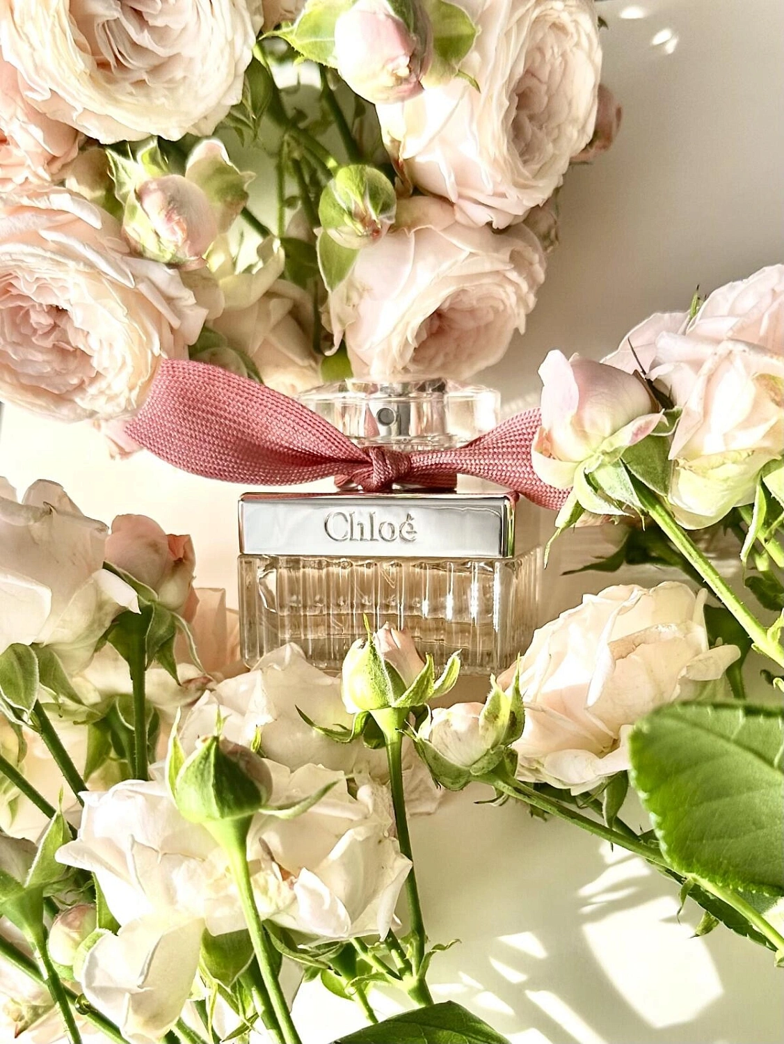 Roses De Chloé