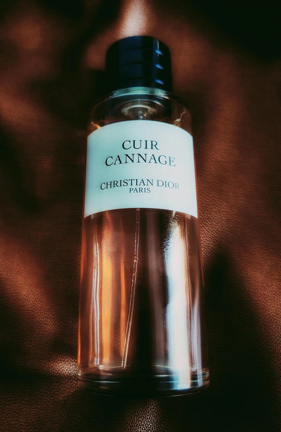 Christian Dior Cuir Cannage