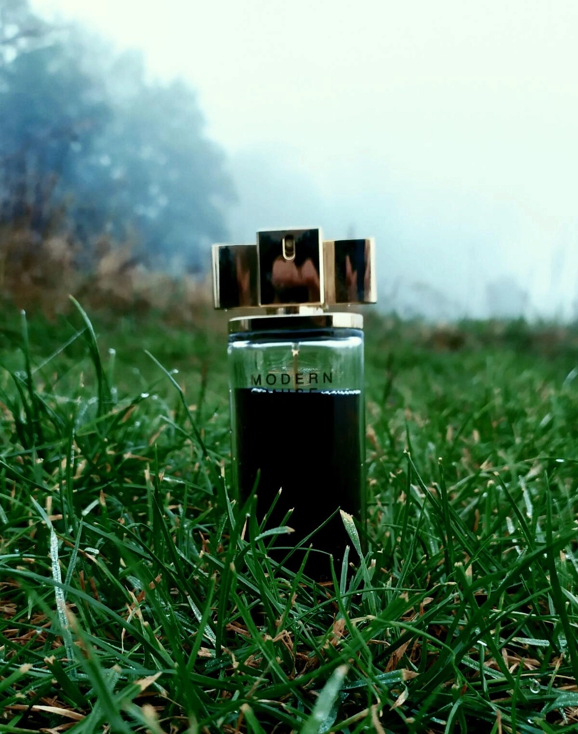 Estée Lauder Modern Muse Nuit